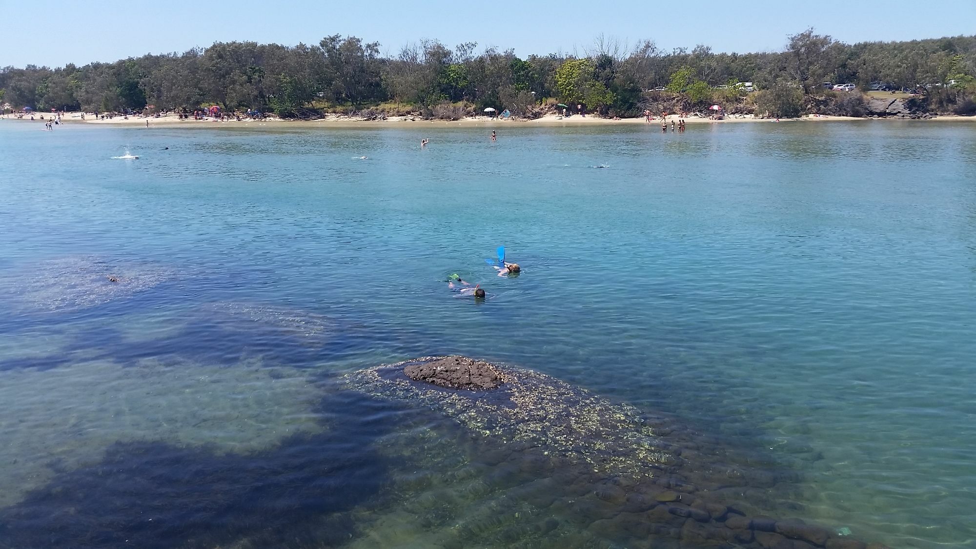Sunrise Cove Holiday Apartments By Kingscliff Accommodation Exteriör bild